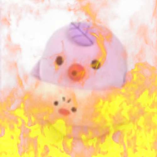 1686057936514.jpeg