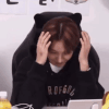 1686101965553.gif