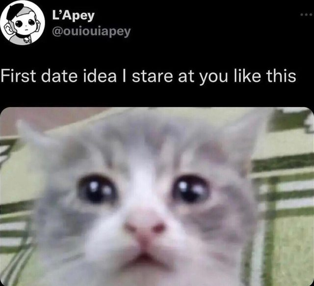 1687380131051.png