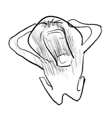 1688433442784.png