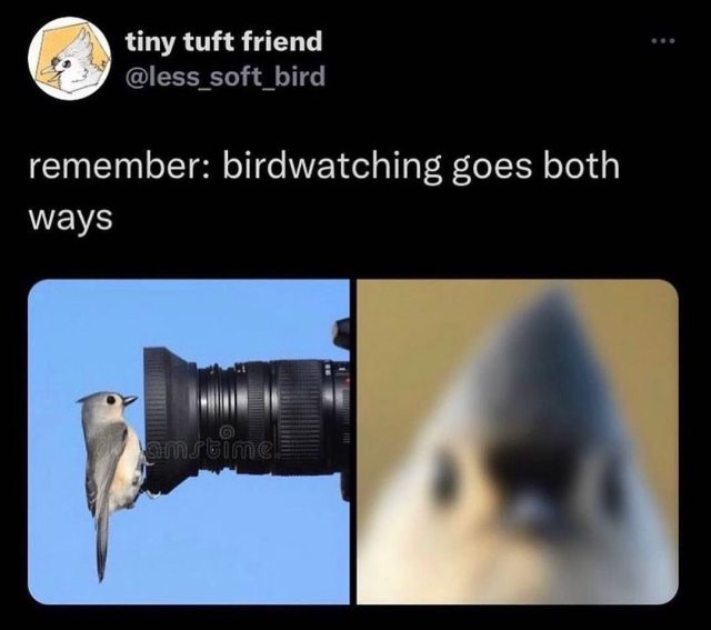 1689643084589.png