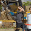 1690989305802.gif