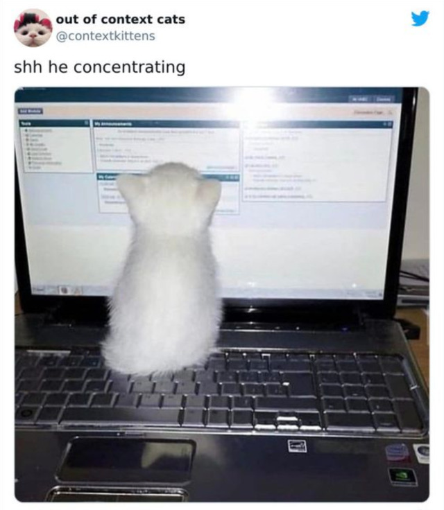 1691185963644.png