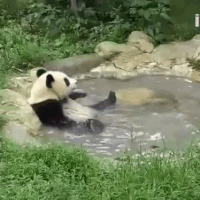 1691200875333.gif