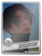 1692884337305.png