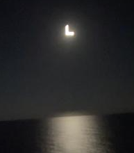 1695848052732.png