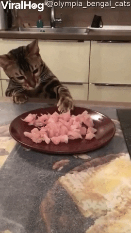 1696193953968.gif
