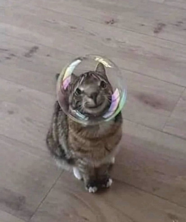 1696459126501.png
