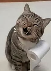 1696543747237.png