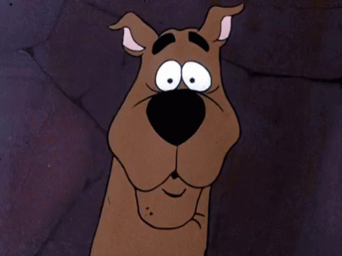 1698613233653.gif