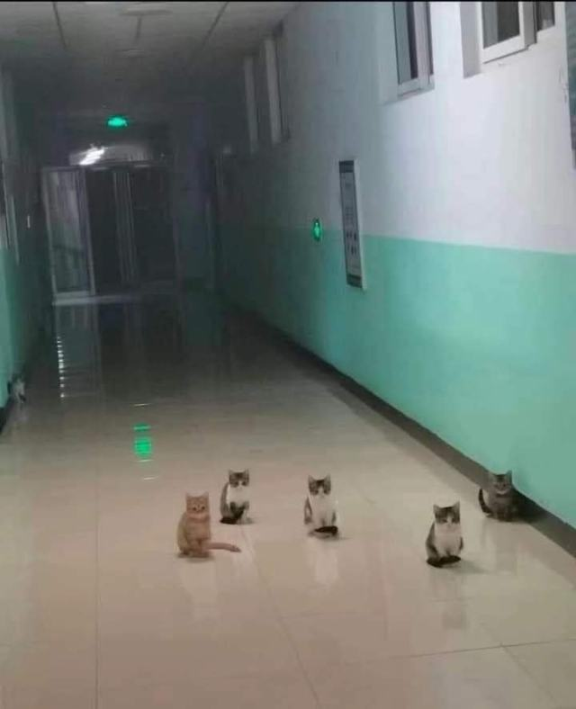 1701375419493.png