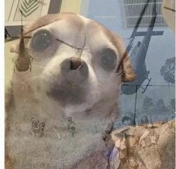 1701478628772.jpeg