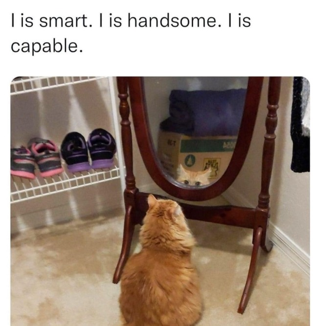 1702080679479.png