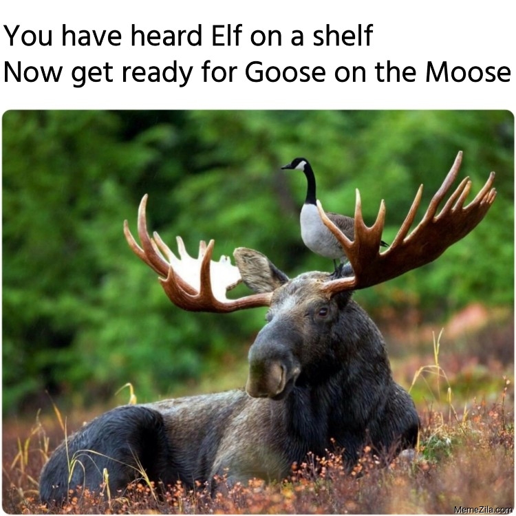 1702164865908.jpeg