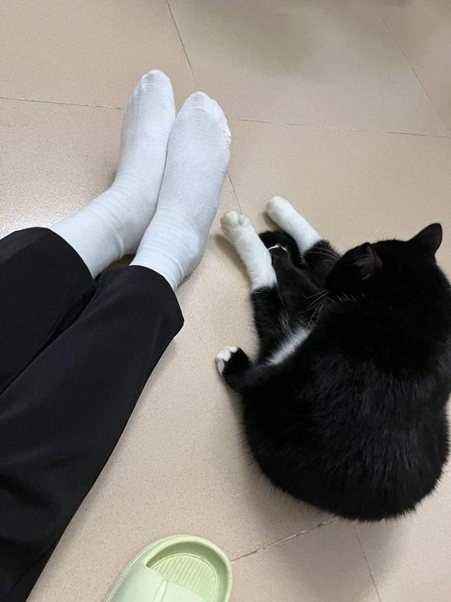 1702516966469.png