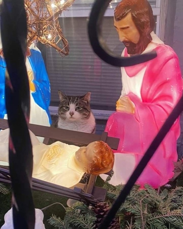 1703985469434.png