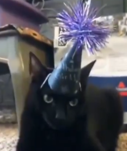 1704661459427.png