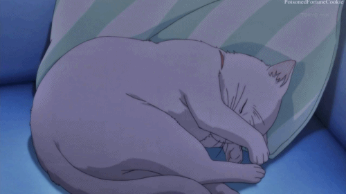 1704830778119.gif