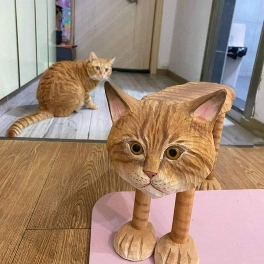 1705340166178.png