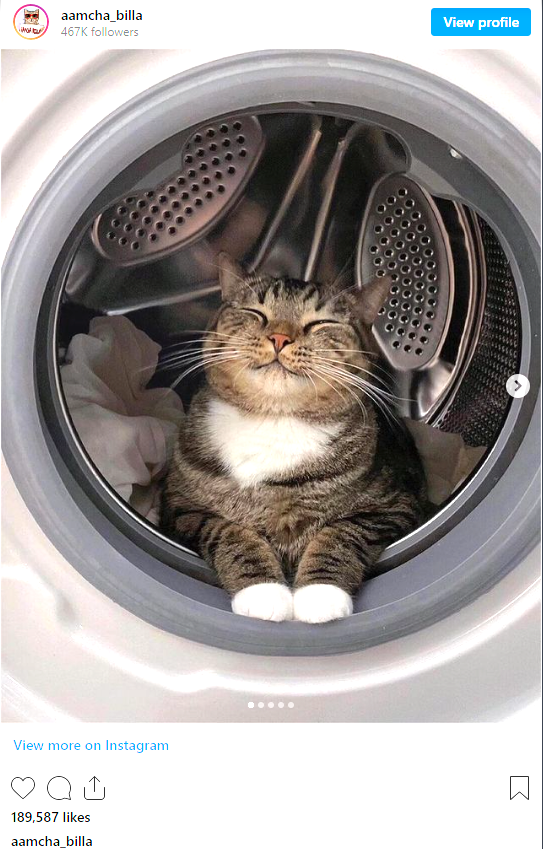 1705447187707.png