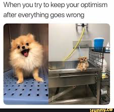 1706163167846.png