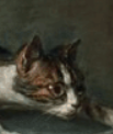 1706374223925.png