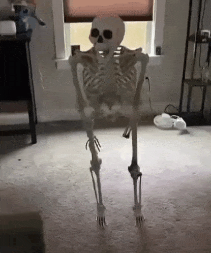 1707674318547.gif