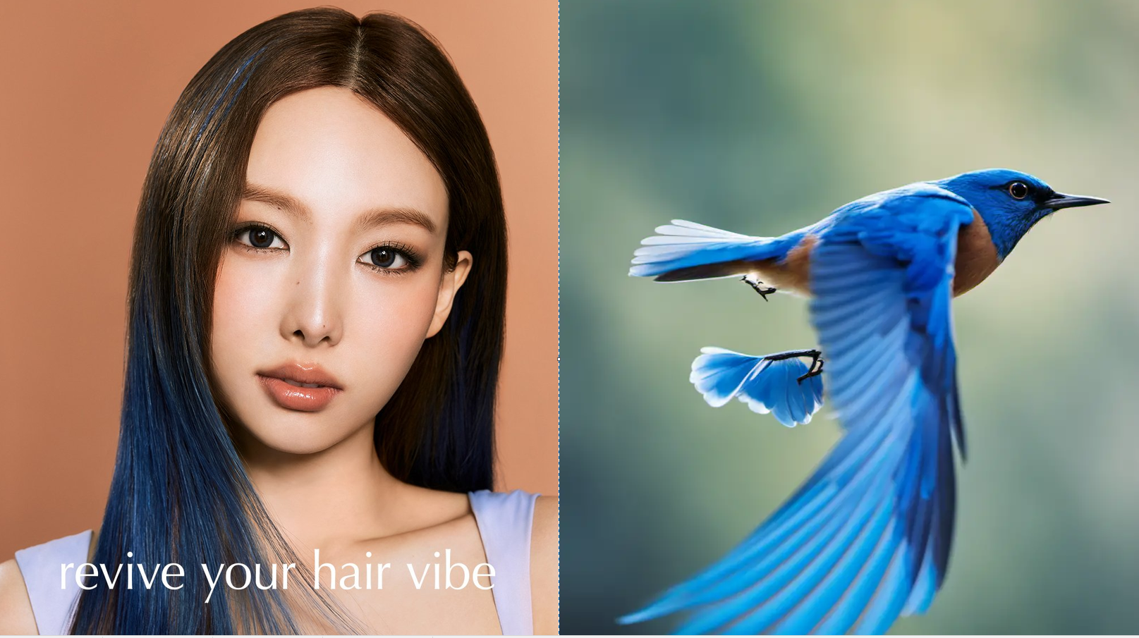 1708314605643.png