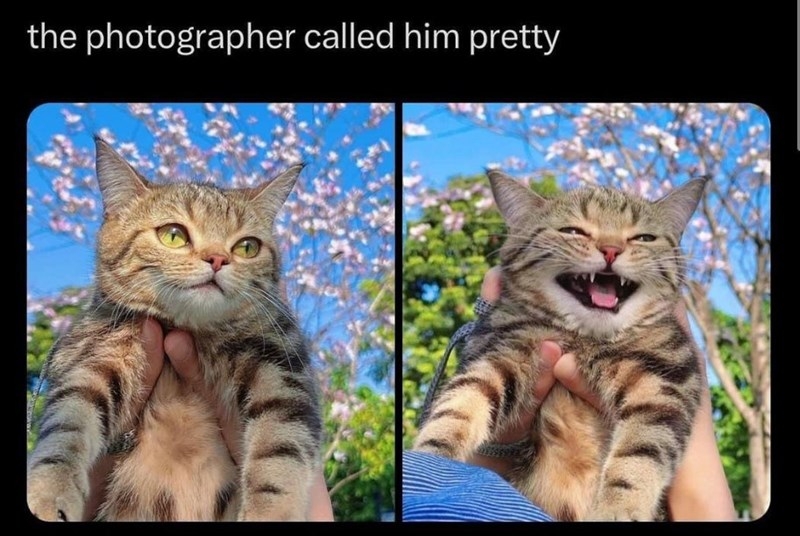 1711118334832.jpeg