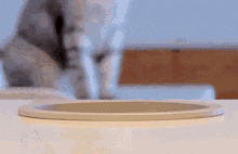 1712098687960.gif