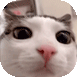 1712450581117.png