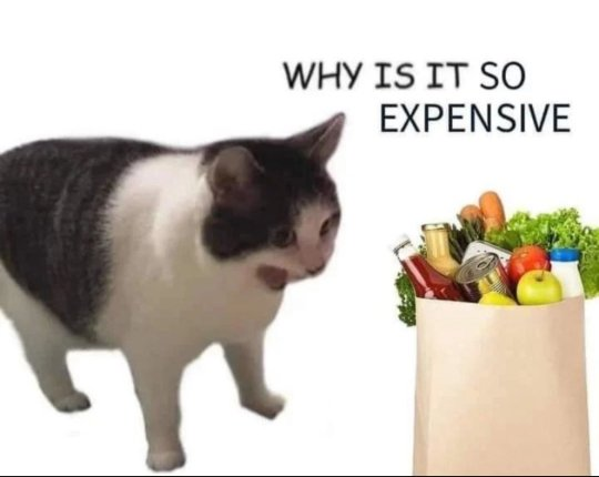1713143898134.png