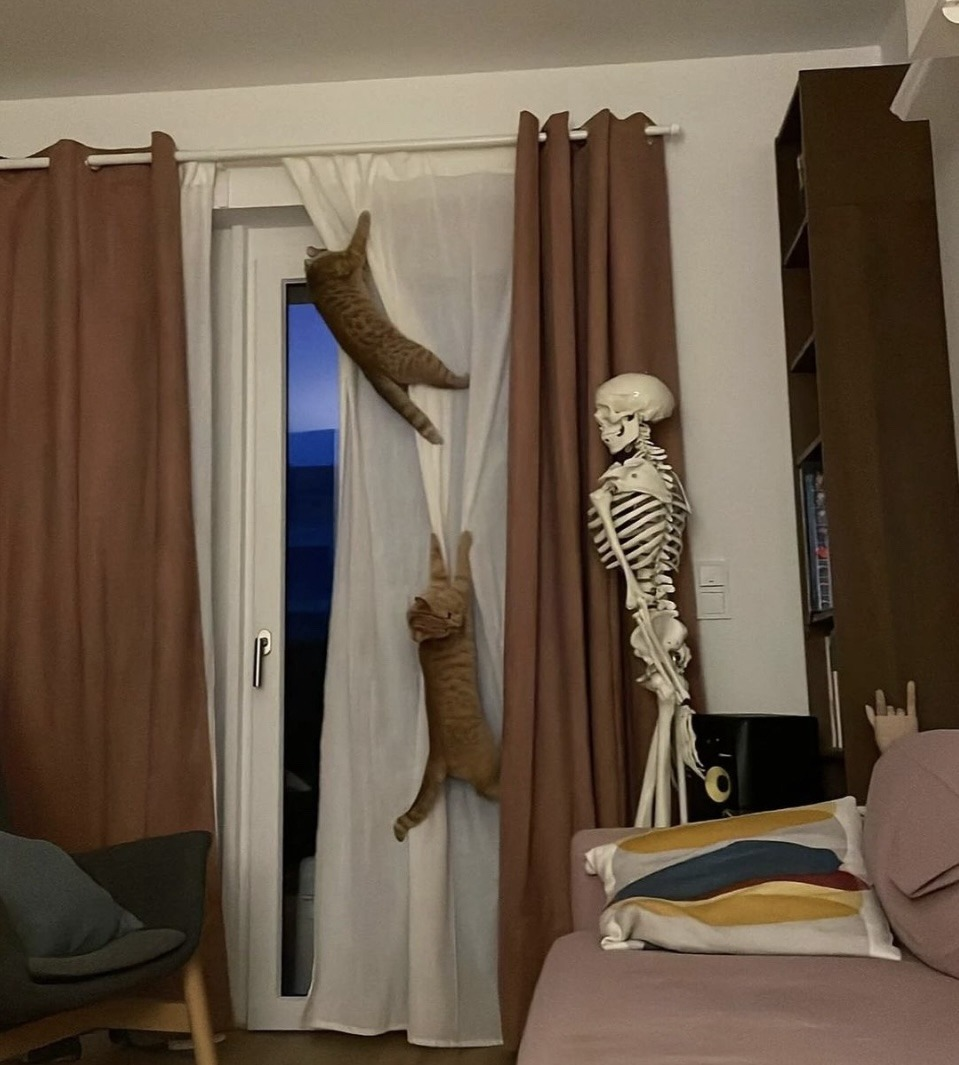 1713402175485.png