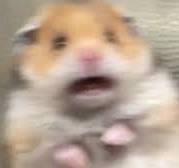1713511188530.jpeg