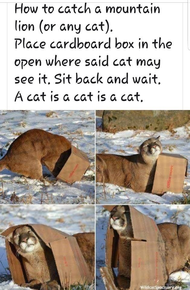 1715185648111.jpeg