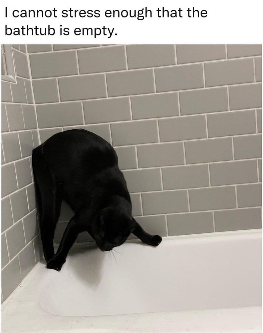 1716847723860.jpeg
