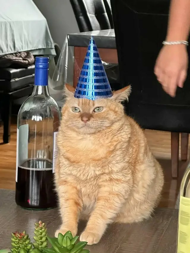 1716924510302.png