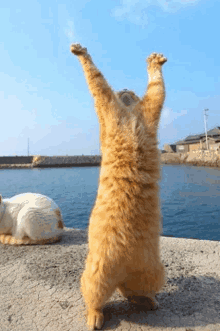 1717640275341.gif