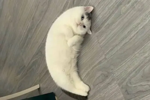 1720311370778.png