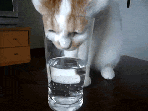1720633304723.gif