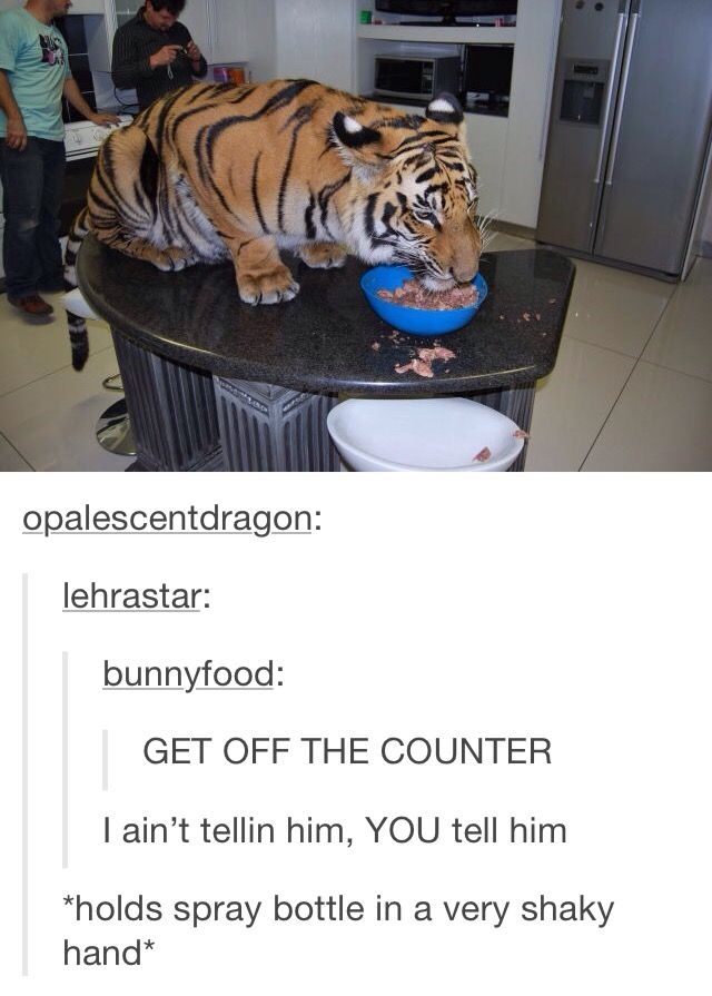 1723512796042.jpeg