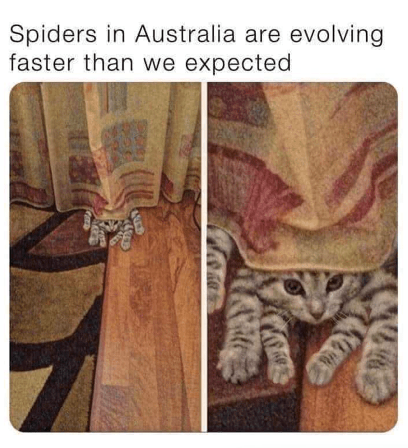1724344508884.png