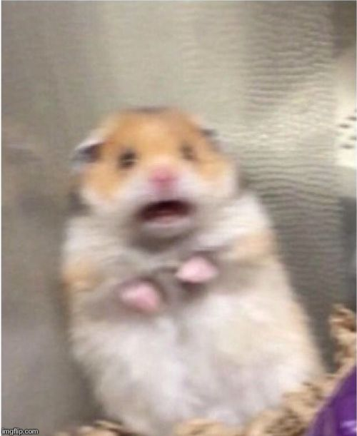 1725055198450.png