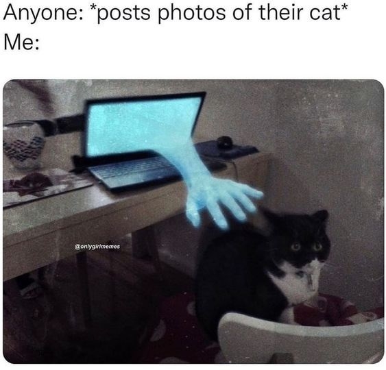 1725994924740.jpeg