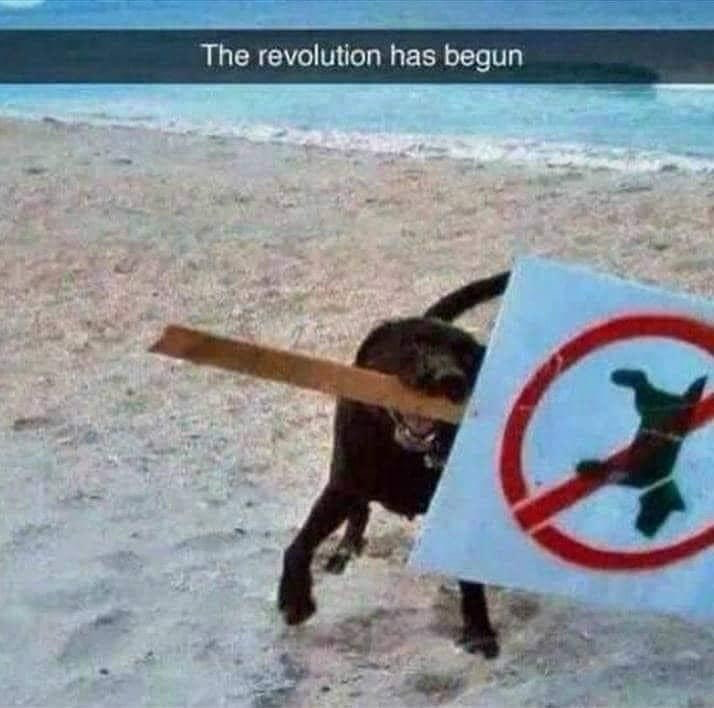 1727583020334.png