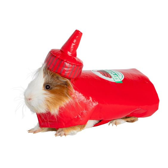 1730312408791.png