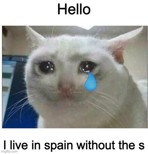 1731081762456.png