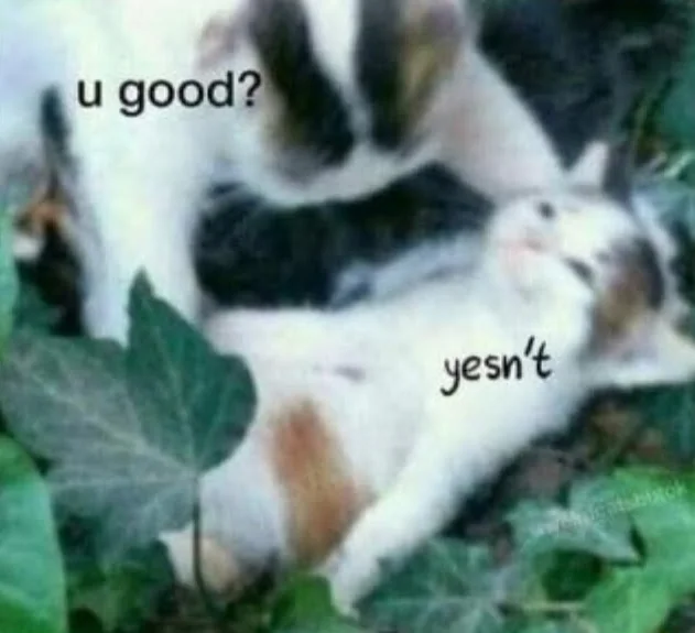 1745011948629.png