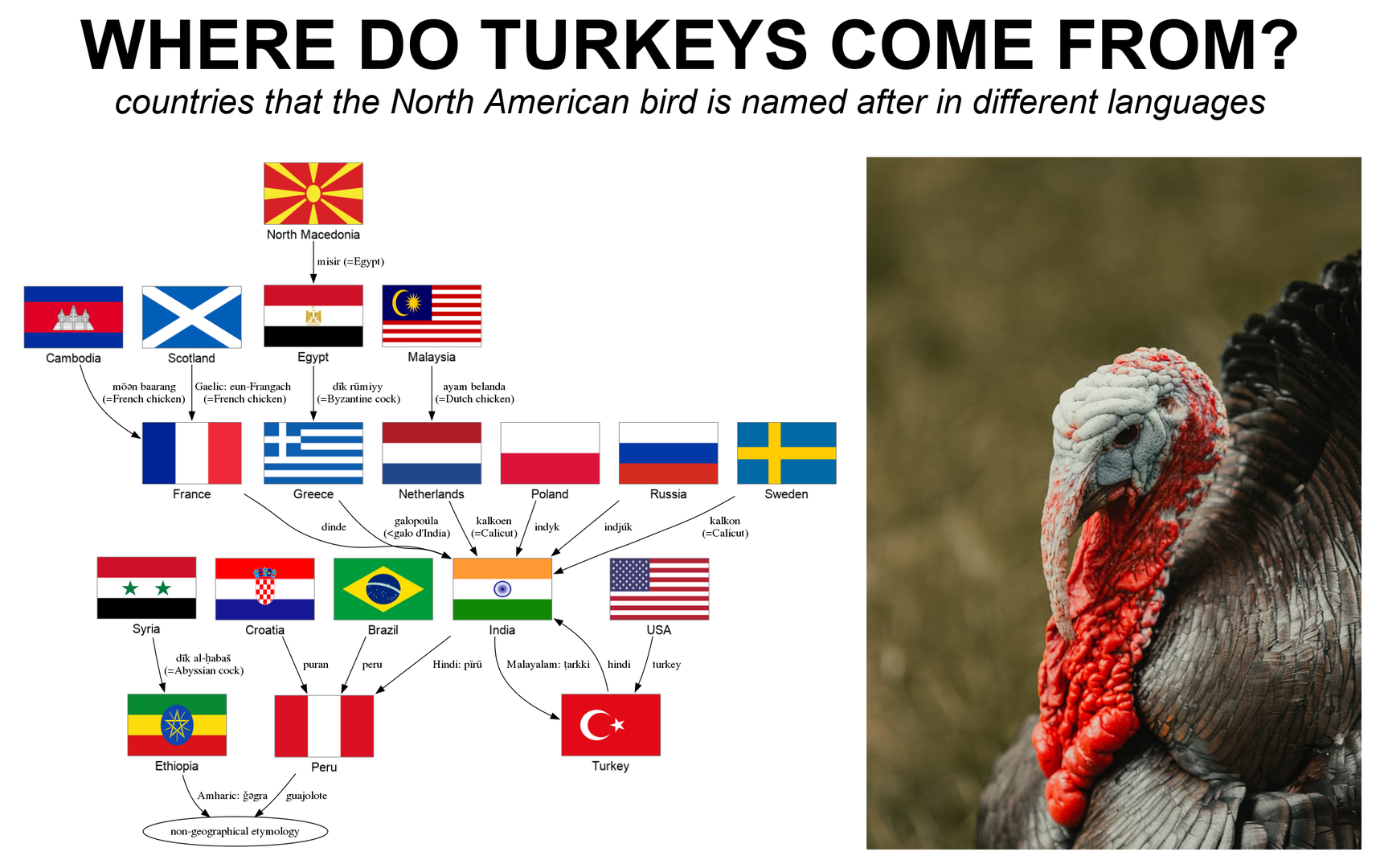1752892112627.png
