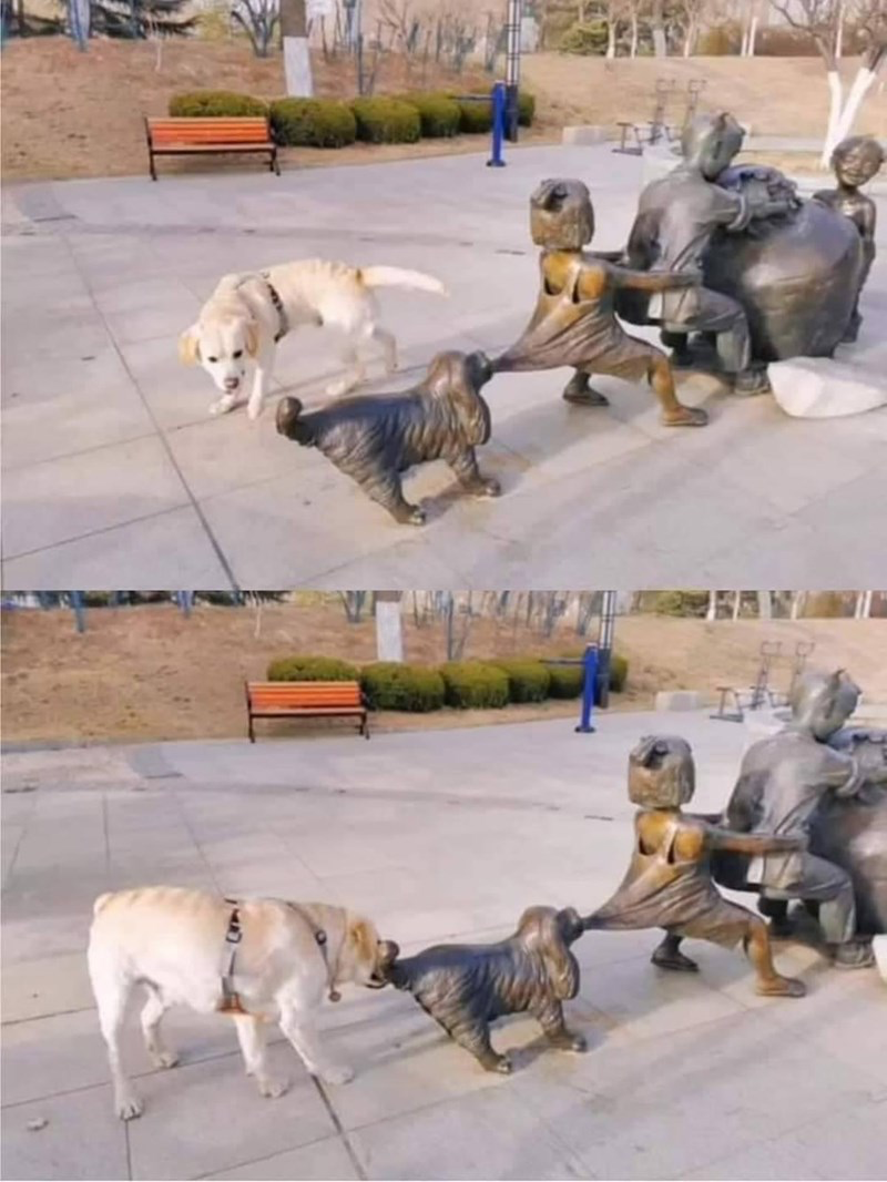 1760497252374.png